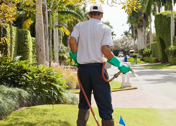 About Cottonwood CA Pest Control
